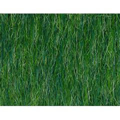 Appelgroen (7118)